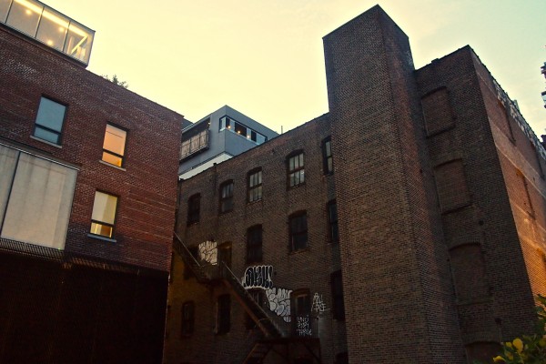 The High Line | Nyc 